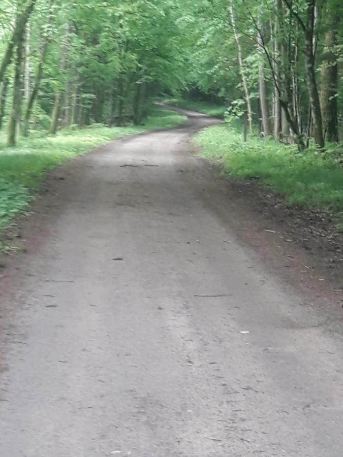In Nature Białowieża Εξωτερικό φωτογραφία